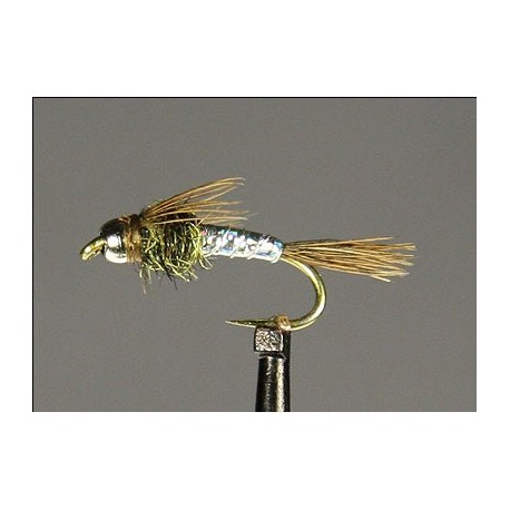 Lightening Bug Silver Side