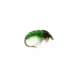 electric caddis
