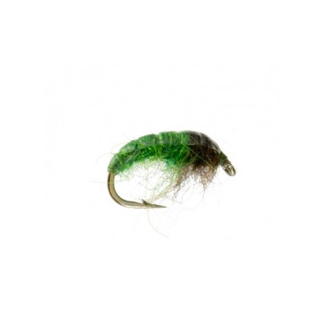 electric caddis