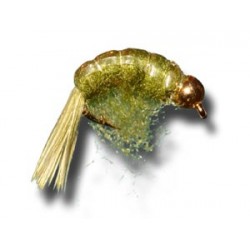 Beadhead Scud Olive