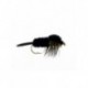 montana stonefly