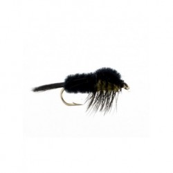 montana stonefly