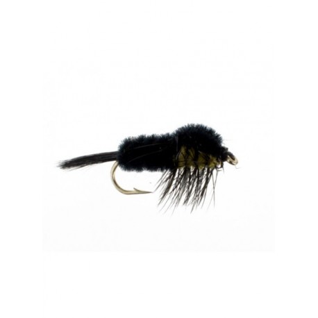 montana stonefly