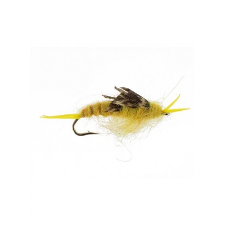 kaufmann stonefly golden