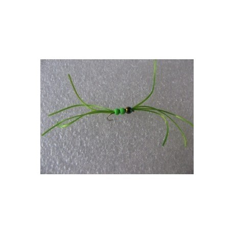 fl green crazy rainbow b w