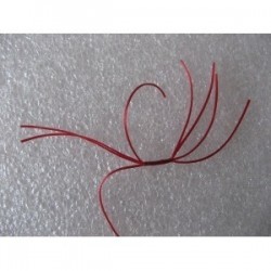 blood red crazy apps b w