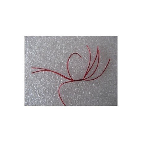 blood red crazy apps b w