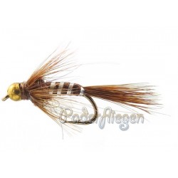 Bh brown nymph