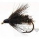 Black & Peacock