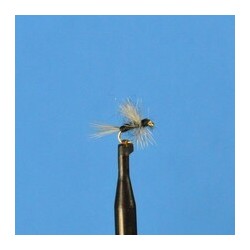 Thorax Dun Trico