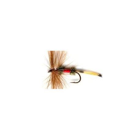 royal coachman button