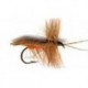 cinnamon horned caddis
