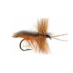 cinnamon horned caddis