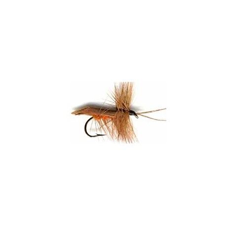cinnamon horned caddis