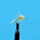 Emerger Pale Morning Dun