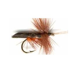 dark brown hornded caddis button