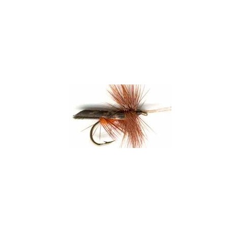 dark brown hornded caddis button