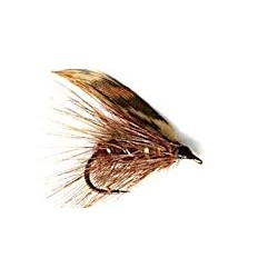 brown morrough caddis button