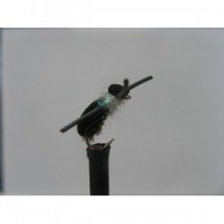 kicking pearl foam beetle