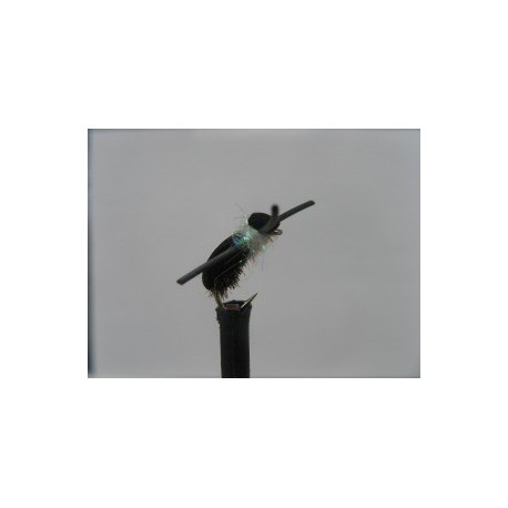 kicking pearl foam beetle