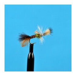 Cripple Pale Morning Dun