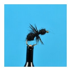 Black Ant