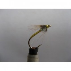 greenwell lite brite spider