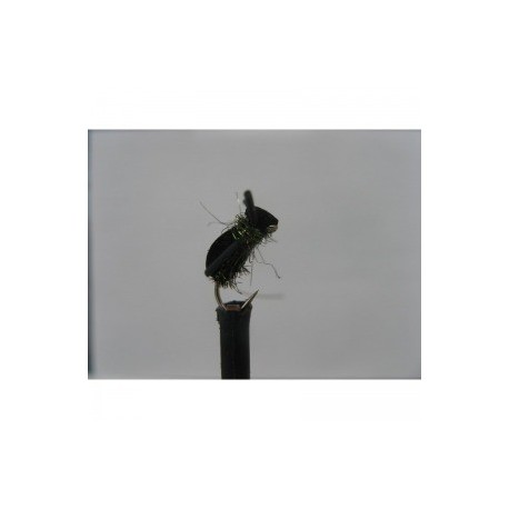 kicking peacock foam beetle