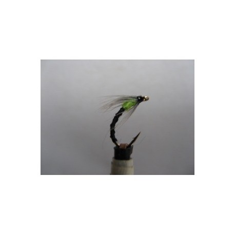 annorexic yellow spider