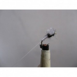 caenis suspender dry