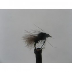 black buzzer emerger cdc