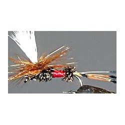 royal coachman parachute button