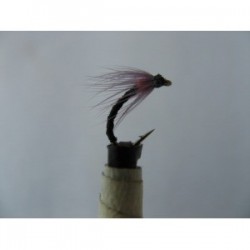 annorexic orange spider