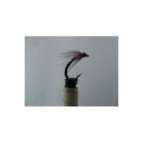 annorexic orange spider