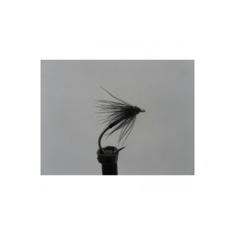 black holo green thorax spider