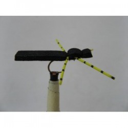 blackyellow foam beetle