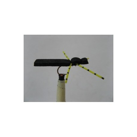 blackyellow foam beetle