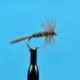Pheasant Tail Dry