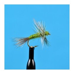 Thorax Dun Green Drake