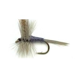 dark hendrickson button