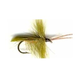 olive horned caddis button