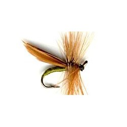 cinnamon sedge caddis button
