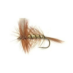 wickhams fancy dry button