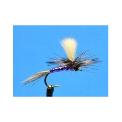 Purple Parachute Adams