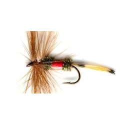 royal coachman button