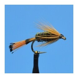 Brown Hackle Peacock
