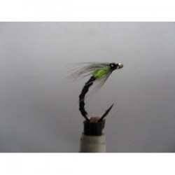 annorexic yellow spider