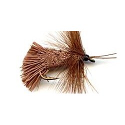 brown goddards caddis button