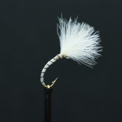 white owl cdc shuttlecock