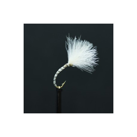 white owl cdc shuttlecock